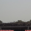 11_35-mast.jpg