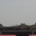 11_45-mast.jpg
