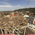 11_55-nest.jpg