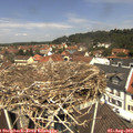 12_05-nest.jpg
