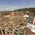 12_25-nest.jpg