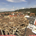 12_40-nest.jpg