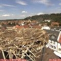 12_45-nest.jpg