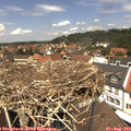 12_50-nest.jpg