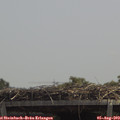 12_55-mast.jpg