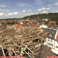 12_55-nest.jpg