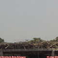 13_00-mast.jpg