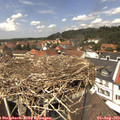 13_05-nest.jpg