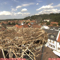 13_10-nest.jpg