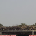 13_15-mast.jpg