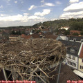 13_15-nest.jpg