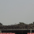 13_20-mast.jpg