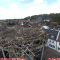 13_20-nest.jpg