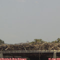 13_25-mast.jpg