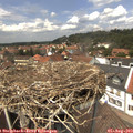 13_25-nest.jpg
