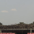 13_30-mast.jpg
