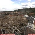 13_30-nest.jpg