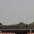13_35-mast.jpg