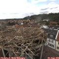 13_35-nest.jpg