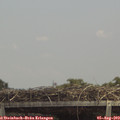 13_40-mast.jpg
