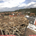 13_40-nest.jpg
