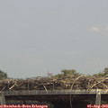 13_45-mast.jpg