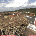 13_45-nest.jpg