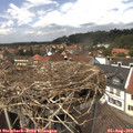 13_50-nest.jpg
