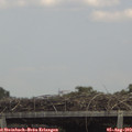 13_55-mast.jpg