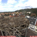 13_55-nest.jpg