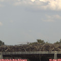 14_00-mast.jpg