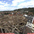 14_00-nest.jpg