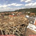 14_05-nest.jpg