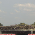 14_10-mast.jpg