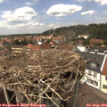 14_10-nest.jpg