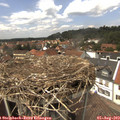 14_15-nest.jpg