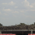 14_20-mast.jpg