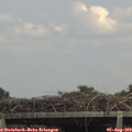 14_25-mast.jpg