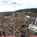 14_25-nest.jpg