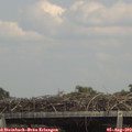 14_30-mast.jpg