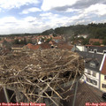 14_30-nest.jpg