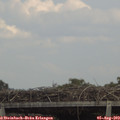 14_35-mast.jpg