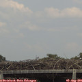 14_40-mast.jpg