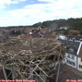 14_40-nest.jpg