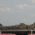 14_45-mast.jpg
