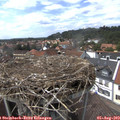 14_45-nest.jpg