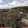 14_55-nest.jpg
