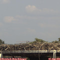 15_00-mast.jpg