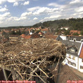15_00-nest.jpg