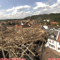 15_10-nest.jpg